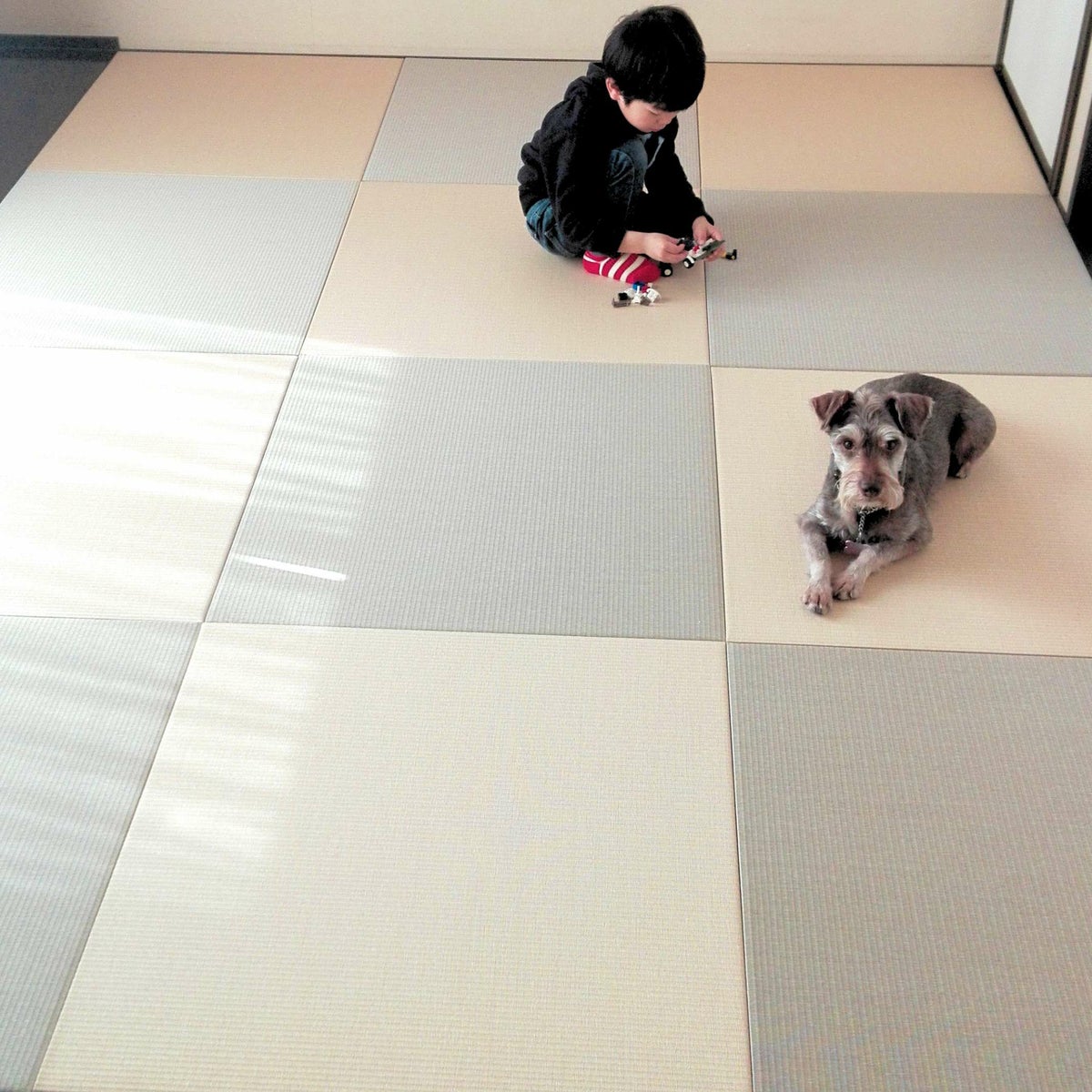 白茶色と灰桜色の2色使い-２